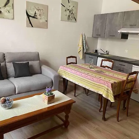 Meuble/clim Cent Hist Perpig+ Park Gratuit Apartament *