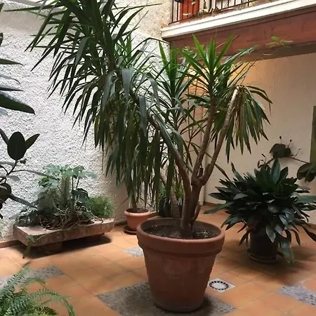 Apartament Meuble/clim Cent Hist Perpig+ Park Gratuit